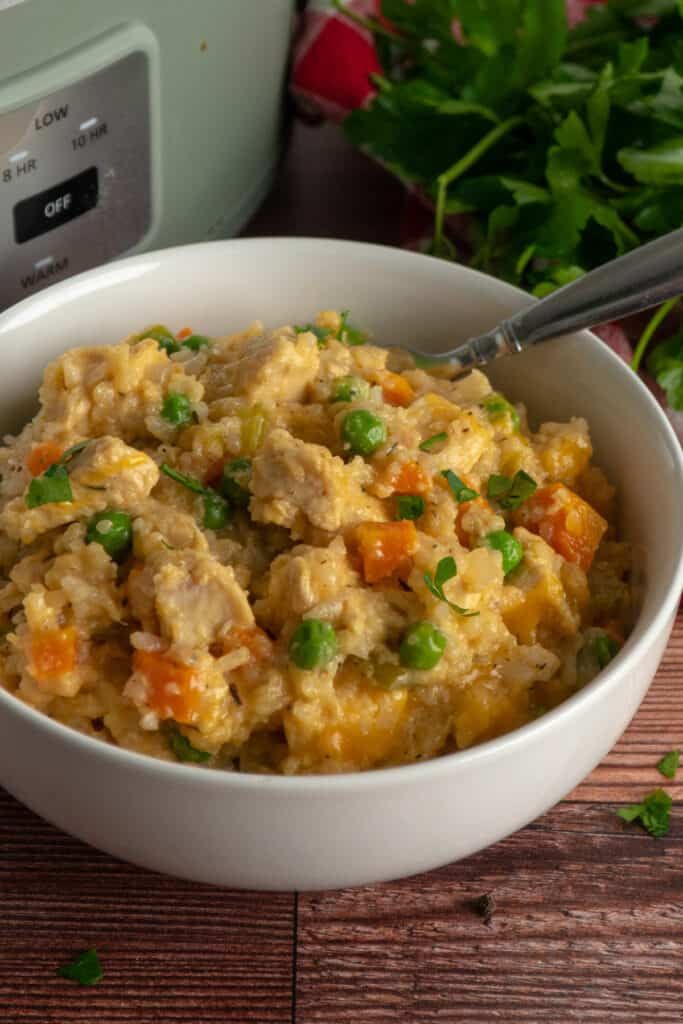 Delicious Chicken and Rice Crock Pot Recipe