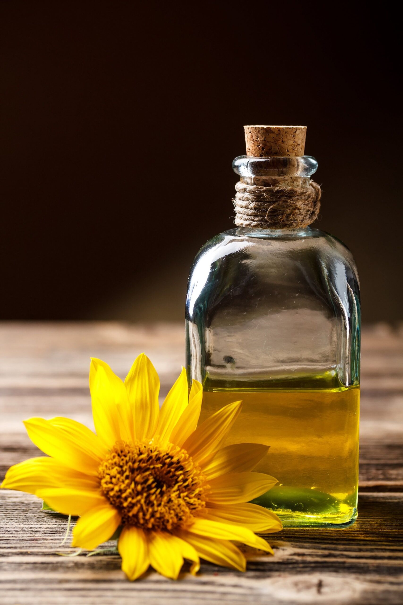 7 Reasons Why Sunflower Oil Is One of the Most Popular Ingredients