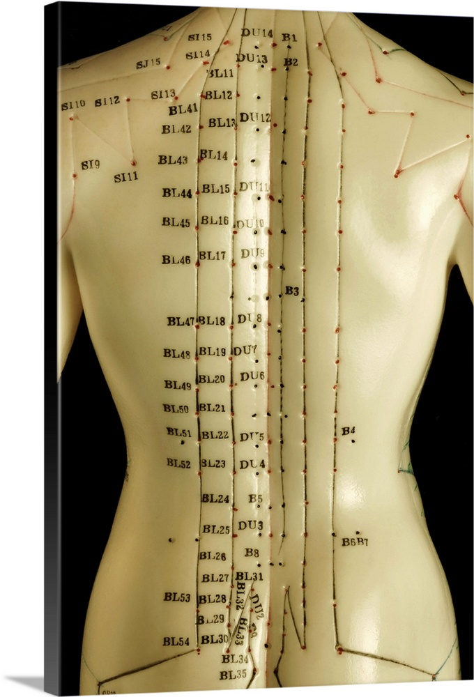 Chinese acupuncture for chronic conditions
